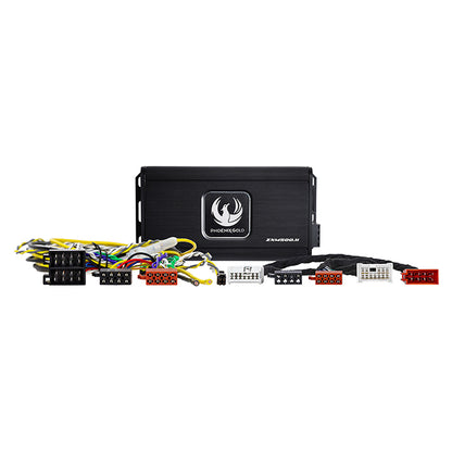 Phoenix Gold Subwoofer Forstærker kit Dacia, Ren 12-20 Phoenix_g