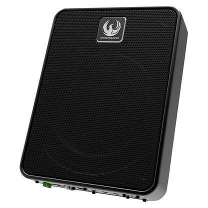Phoenix Gold 8" Aktiv Mikro-Subwoofer 200W Phoenix_g